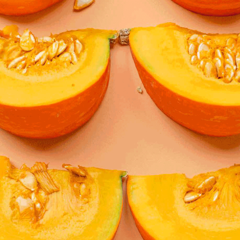 Multiple images describing Fresh Factory brand