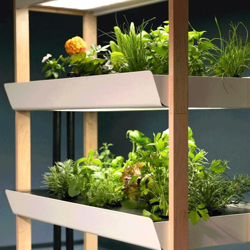 Multiple images describing Rise Gardens brand