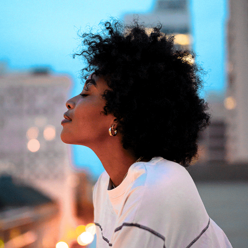 Multiple images describing Felt brand